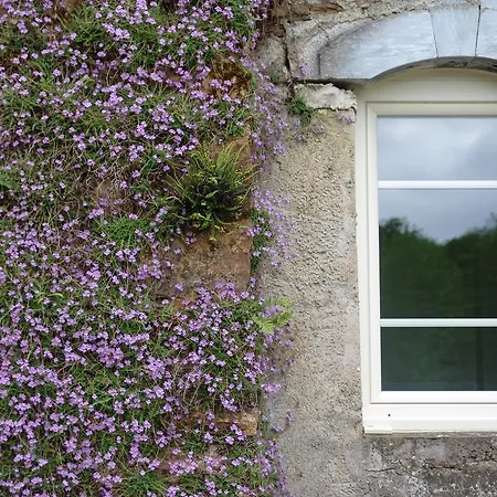 Le Buala Maison D'hotes *