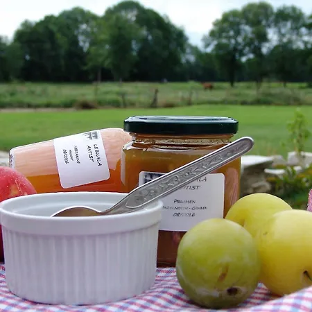 Le Buala Maison D'hotes Bed & Breakfast Antist