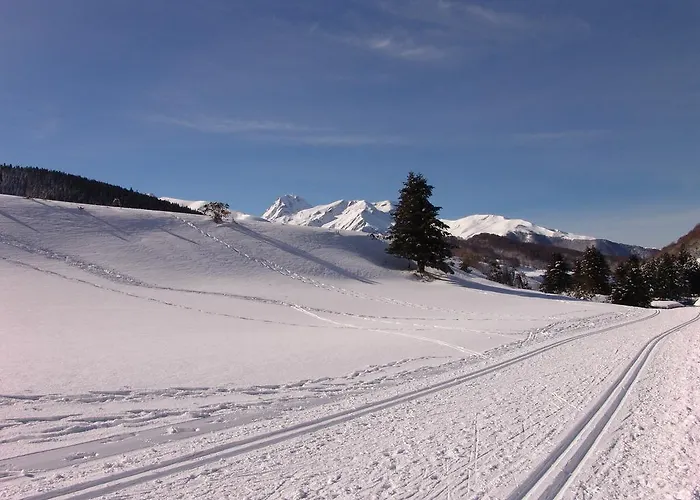 Le Buala Maison D'hotes Отель типа 