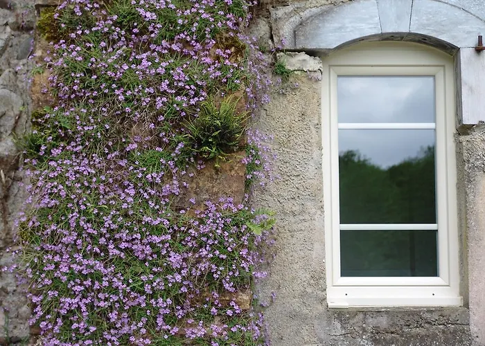 Le Buala Maison D'hotes *