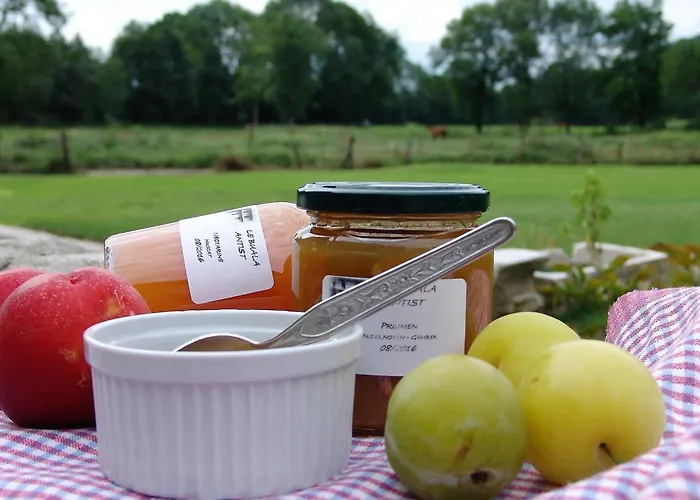 Le Buala Maison D'hotes Отель типа 